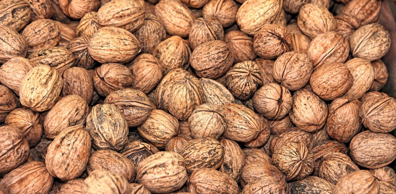 Why Nepali Farmers Decide to Grow or Not Grow Nuts?